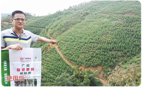 廣東桉樹與果蔬種植的現代化管理工廠模式探析