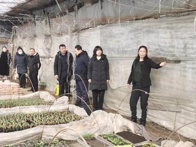 巾幗聚力促振興 敦化市婦聯(lián)攜手市檔案館深入長(zhǎng)青村調(diào)研果蔬種植產(chǎn)業(yè)