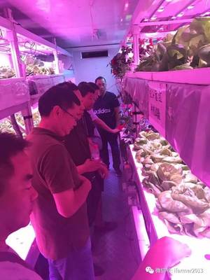 智慧農(nóng)業(yè)新篇章 宿遷市領(lǐng)導(dǎo)參觀旭田植物工廠，共話苗木種植現(xiàn)代化未來(lái)